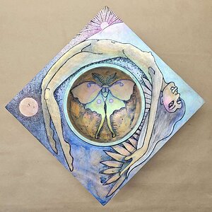 Luna Moths Have No Mouths