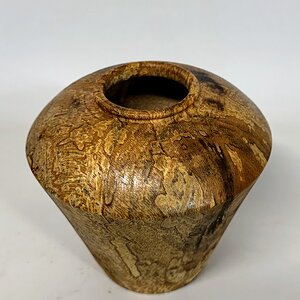 Spalted beech hollow form