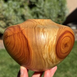 Alligator Juniper Vessel