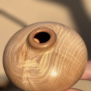 Ash Vessel with Sapele Collar and Base