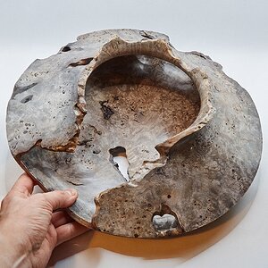 Hollow shape with natural edge