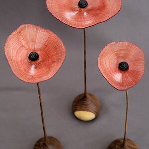 We shall remember them!