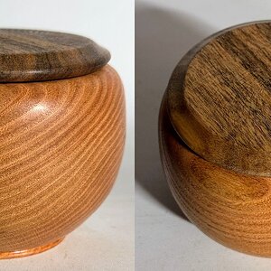 Kentucky coffee tree box