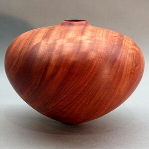 Red ironbark hollow form.