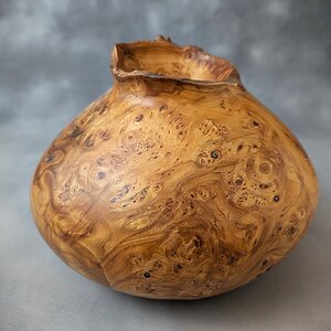 Elm Burl Large Vessel