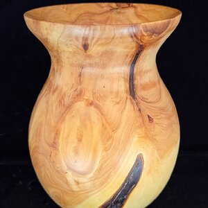 Monterey Cypress Vase