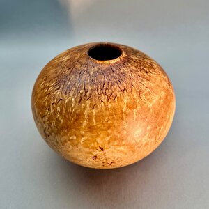 Masur birch hollow form
