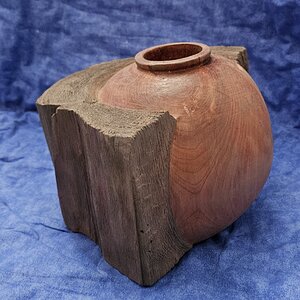 The trick is finding logs with vases in them