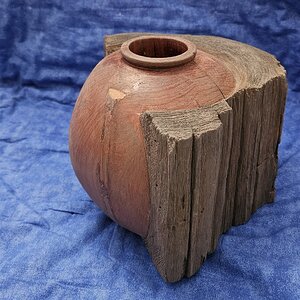 The trick is finding logs with vases in them