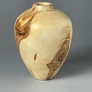 Media 'Aspen Hollow Form' in category 'Member Galleries'