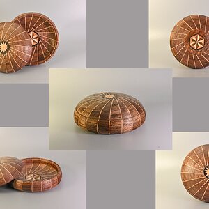 Radial Urchin Box