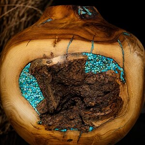Mulberry Hollow Form with Turquoise Inlay (bark inclusion view)