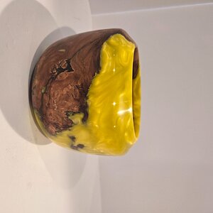 Cherry Burl and Epoxy Vase