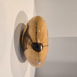 English Walnut Hollow Form