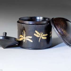 Dragonfly box with included top