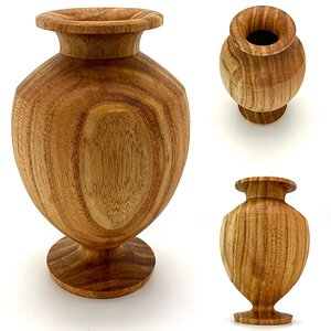 Honey Locust Hollow Form