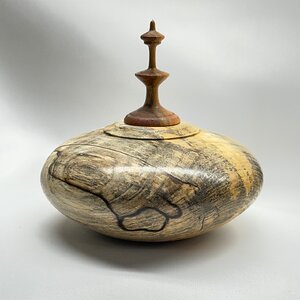 Spalted Maple Hollow Form with Spalted Cherry Finial