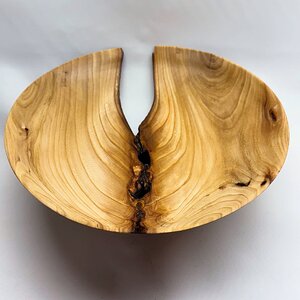 Elm Crotch Bowl