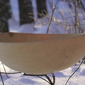 Aspen bowl. Diameter 450mm