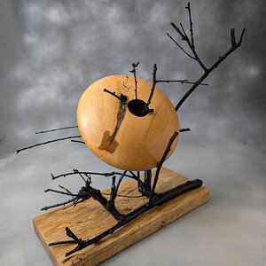 Don't Drive Your Flying Saucer too Close to the Trees