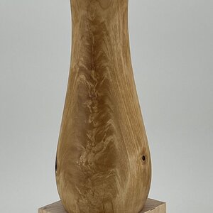 SERIAL 26006 Model VBDB0408 Birch Crotch Vase