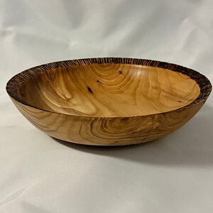 Shallow Elm Dish