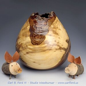 Live Edge Walnut Vase & Friends