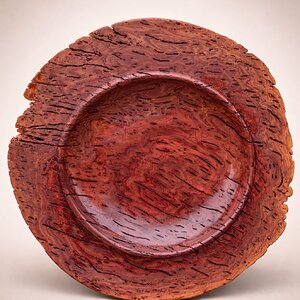 Salmon Gum Burl Platter (front)