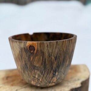 Big Island Norfolk Pine