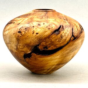 Poplar burl
