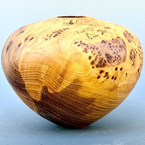 Elm burl