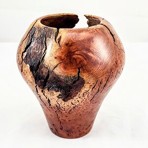 Manzanita root burl vessel -additional angle