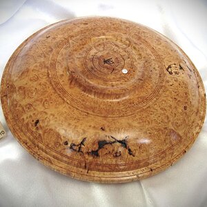 #2191 Maple Burl
