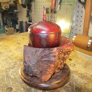 Emerging From The Chrysalis