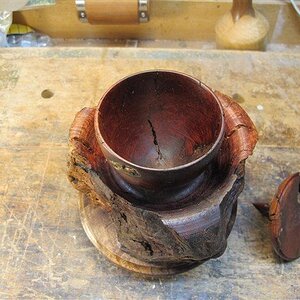 Emerging From The Chrysalis- Open