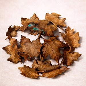Quilted Poplar Maple Leaf Bowl (underside)
