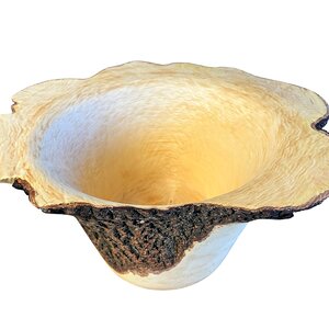 The Fiddleback Maple