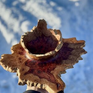 Emerging Red Mallee Bowl