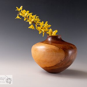 Apple jar with Forsythia