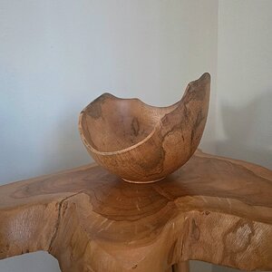 Sugar maple with little spalting and chatoyance