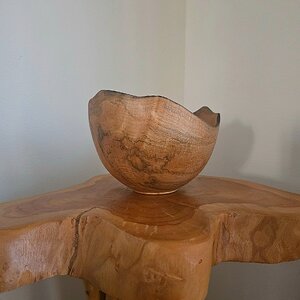 Sugar maple with little spalting and chatoyance