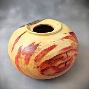Boxelder Olla