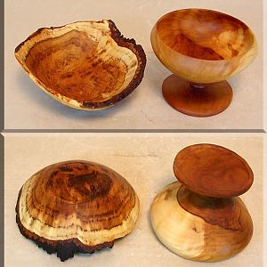 Apple Burl Pieces