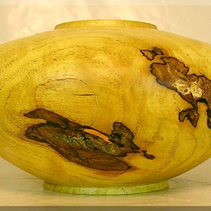 Osage Orange Burl Hollow Form