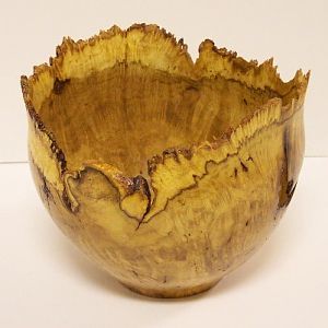 Honey Locust Burl natural edge