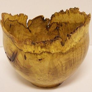 Honey Locust Burl natural edge