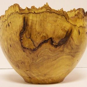 Honey Locust Burl natural edge