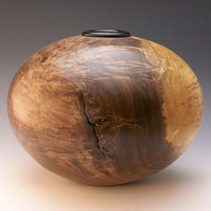 Black Walnut Crotch HF