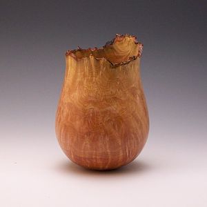 Madrone Burl NE