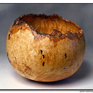 Box Elder Burl Bowl